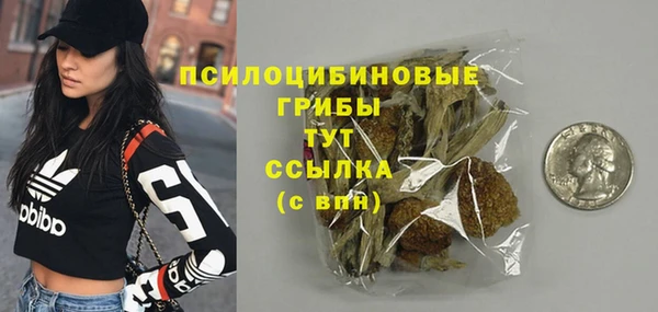 гашик Абаза