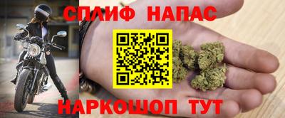 трава Новозыбков