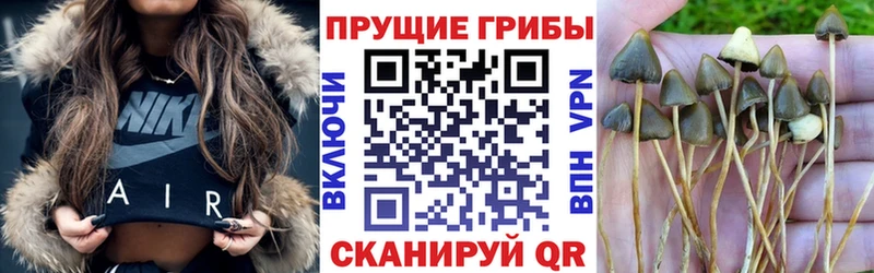 продажа наркотиков  Рассказово  Галлюциногенные грибы ЛСД 