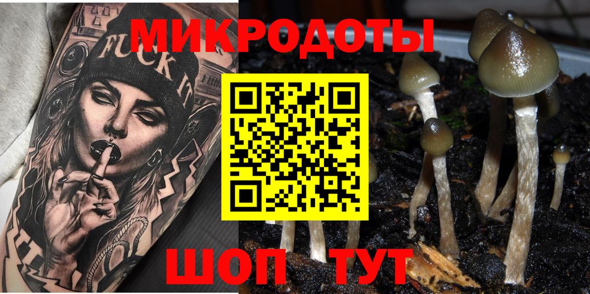 Галлюциногенные грибы Cubensis Рассказово