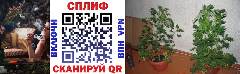 дарнет шоп Рассказово Канабис ГИДРОПОН
